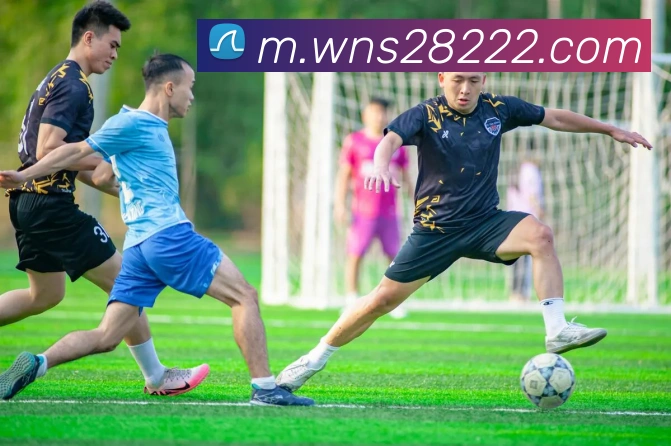 App Interface Preview